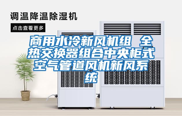 商用水冷新風(fēng)機(jī)組 全熱交換器組合中央柜式空氣管道風(fēng)機(jī)新風(fēng)系統(tǒng)