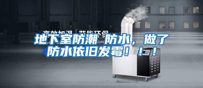 地下室防潮≠防水，做了防水依舊發(fā)霉！！！