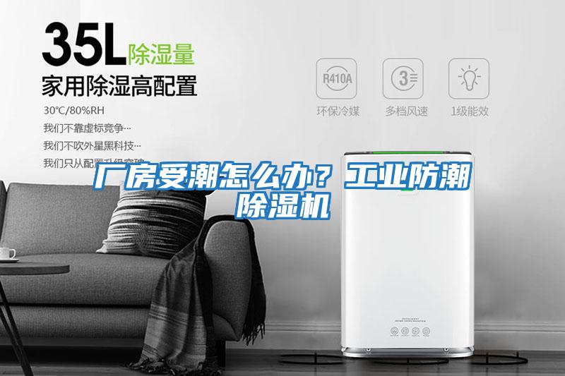 廠房受潮怎么辦？工業防潮除濕機