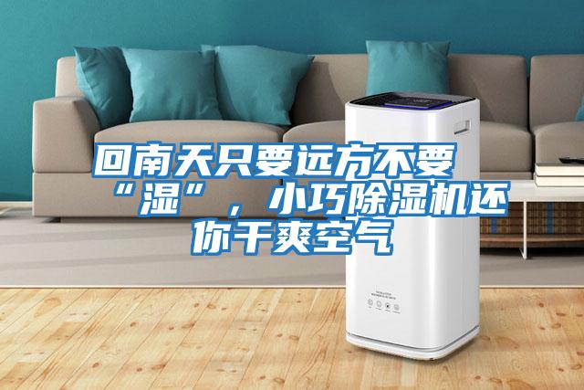 回南天只要遠(yuǎn)方不要“濕”，小巧除濕機還你干爽空氣