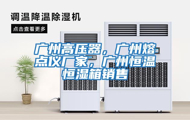 廣州高壓器，廣州熔點儀廠家，廣州恒溫恒濕箱銷售