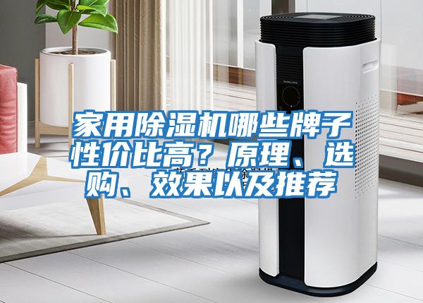 家用除濕機哪些牌子性價比高？原理、選購、效果以及推薦