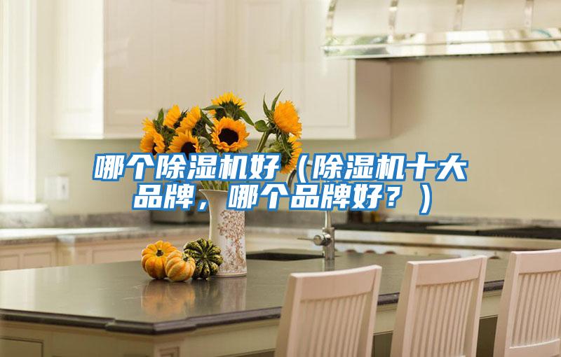 哪個除濕機好（除濕機十大品牌，哪個品牌好？）