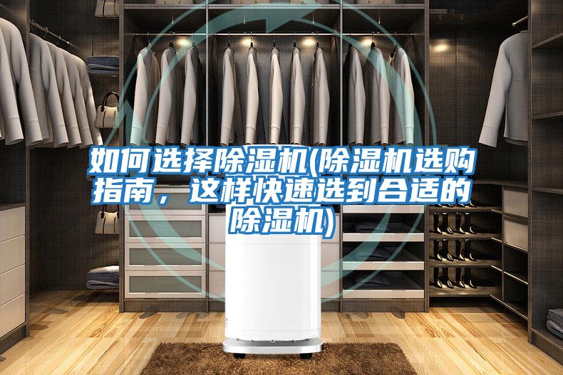 如何選擇除濕機(除濕機選購指南，這樣快速選到合適的除濕機)