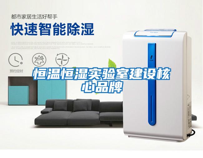 恒溫恒濕實驗室建設核心品牌