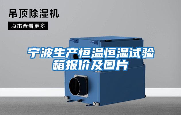 寧波生產恒溫恒濕試驗箱報價及圖片