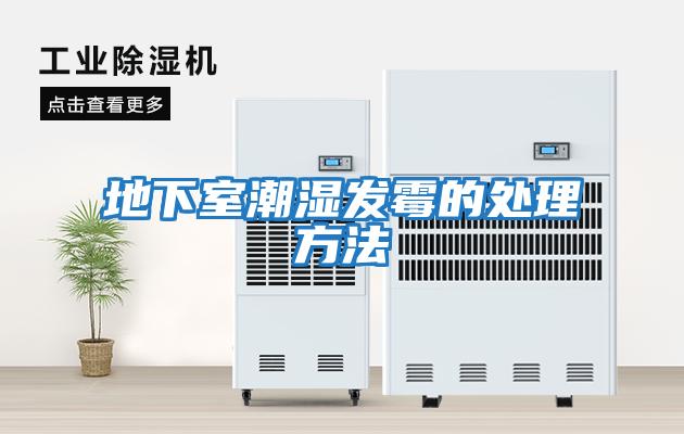地下室潮濕發霉的處理方法