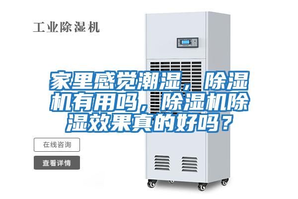 家里感覺潮濕，除濕機有用嗎，除濕機除濕效果真的好嗎？