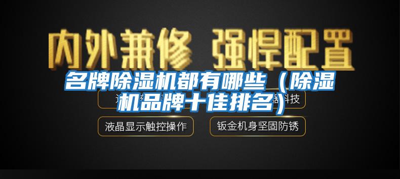 名牌除濕機都有哪些（除濕機品牌十佳排名）