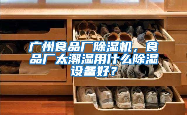 廣州食品廠除濕機，食品廠太潮濕用什么除濕設備好？