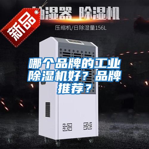 哪個(gè)品牌的工業(yè)除濕機(jī)好？品牌推薦？
