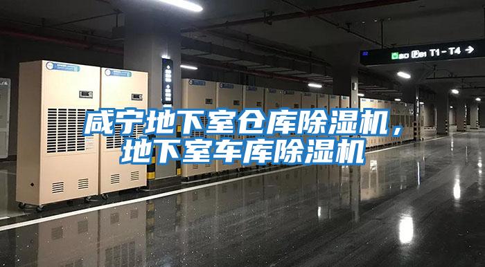咸寧地下室倉庫除濕機，地下室車庫除濕機