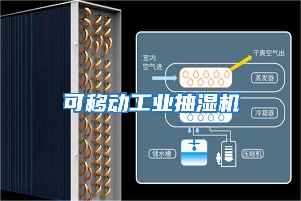 可移動工業(yè)抽濕機