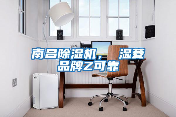 南昌除濕機， 濕菱品牌Z可靠