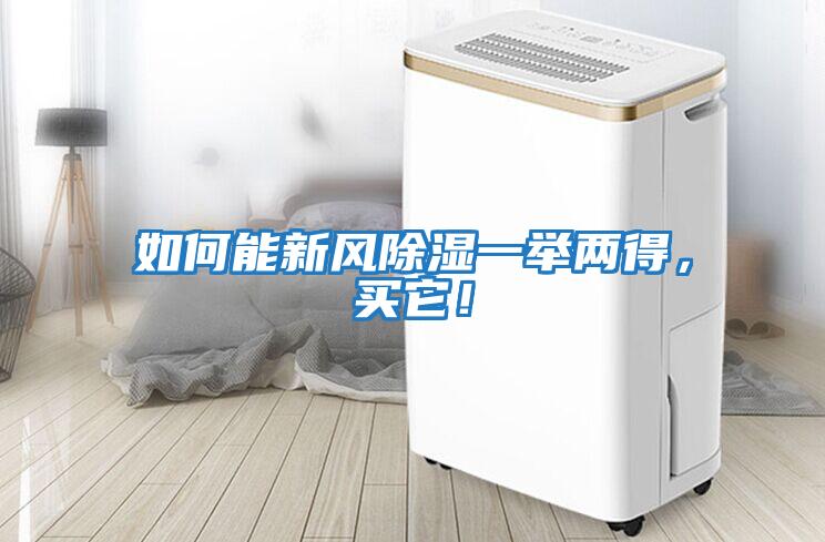 如何能新風除濕一舉兩得，買它！