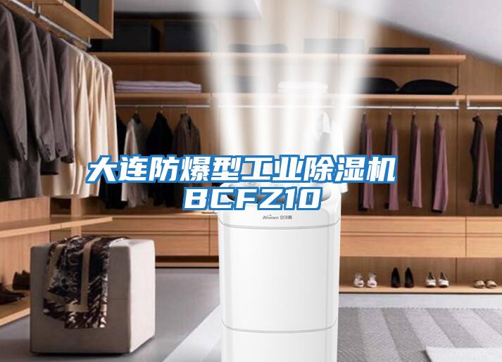 大連防爆型工業除濕機 BCFZ10