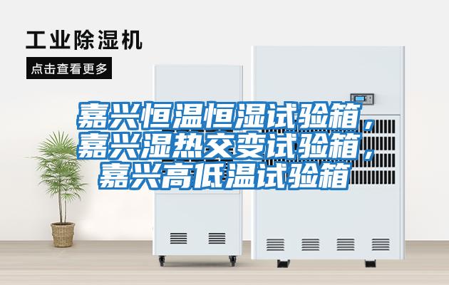 嘉興恒溫恒濕試驗(yàn)箱，嘉興濕熱交變?cè)囼?yàn)箱，嘉興高低溫試驗(yàn)箱