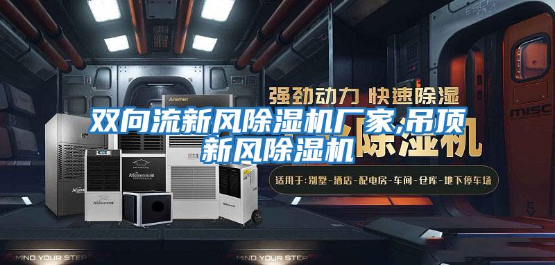 雙向流新風除濕機廠家,吊頂新風除濕機