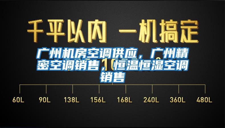 廣州機房空調(diào)供應(yīng)，廣州精密空調(diào)銷售，恒溫恒濕空調(diào)銷售