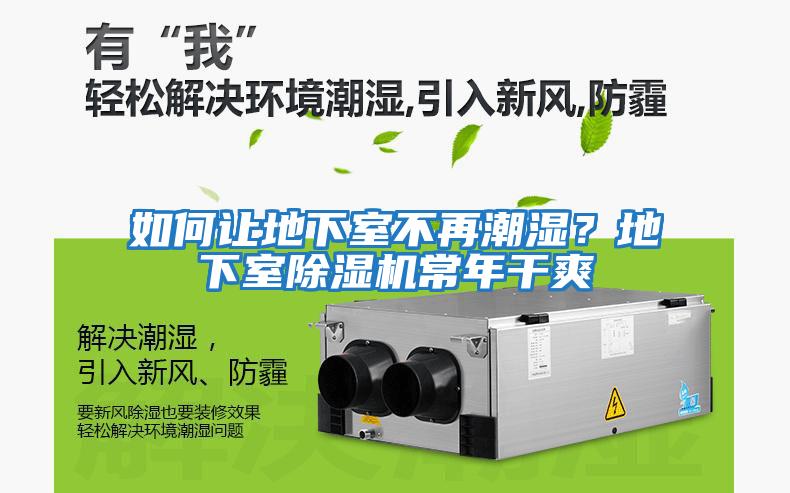 如何讓地下室不再潮濕？地下室除濕機(jī)常年干爽