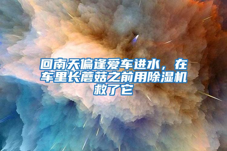 回南天偏逢愛車進水，在車里長蘑菇之前用除濕機救了它