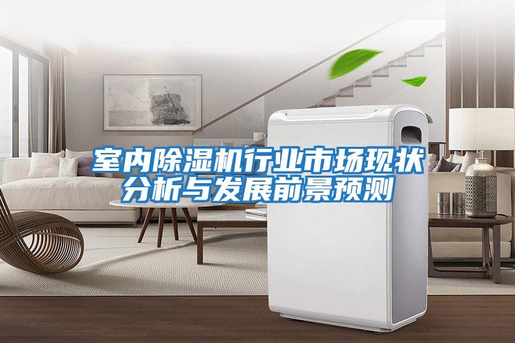室內除濕機行業市場現狀分析與發展前景預測