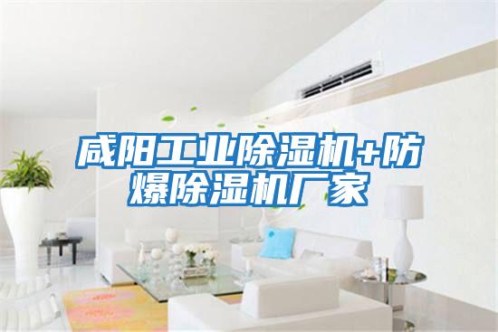 咸陽(yáng)工業(yè)除濕機(jī)+防爆除濕機(jī)廠家