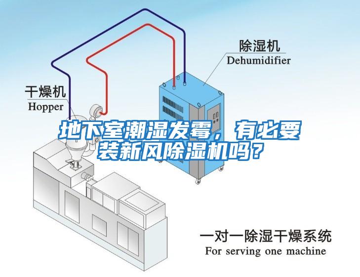 地下室潮濕發(fā)霉，有必要裝新風(fēng)除濕機(jī)嗎？