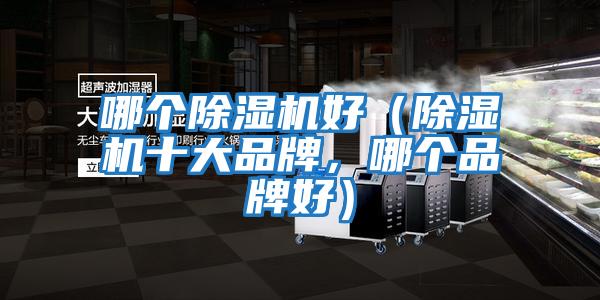 哪個(gè)除濕機(jī)好（除濕機(jī)十大品牌，哪個(gè)品牌好）