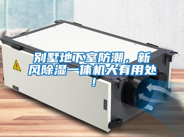 別墅地下室防潮，新風除濕一體機大有用處！