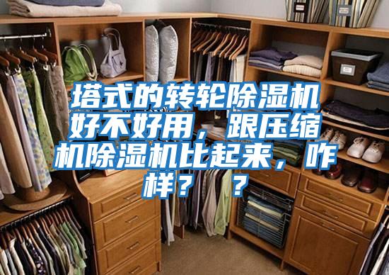 塔式的轉輪除濕機好不好用，跟壓縮機除濕機比起來，咋樣？ ？