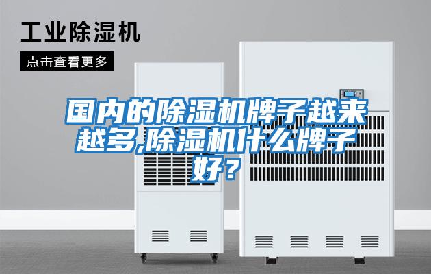 國(guó)內(nèi)的除濕機(jī)牌子越來(lái)越多,除濕機(jī)什么牌子好？