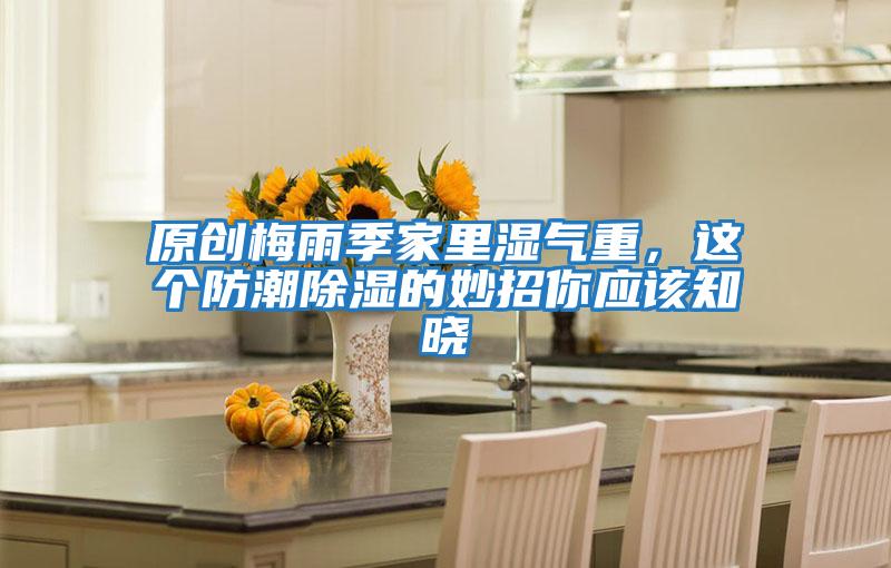 原創梅雨季家里濕氣重，這個防潮除濕的妙招你應該知曉