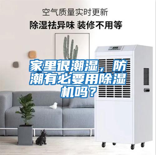 家里很潮濕，防潮有必要用除濕機(jī)嗎？
