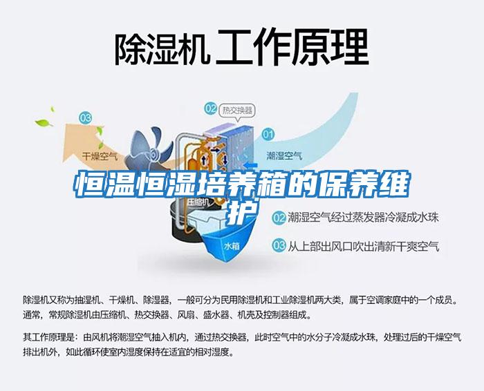 恒溫恒濕培養箱的保養維護