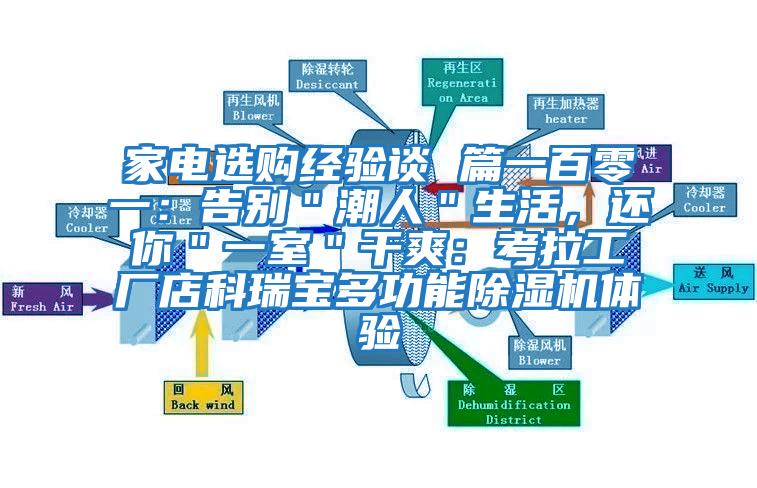 家電選購經驗談 篇一百零一：告別＂潮人＂生活，還你＂一室＂干爽：考拉工廠店科瑞寶多功能除濕機體驗