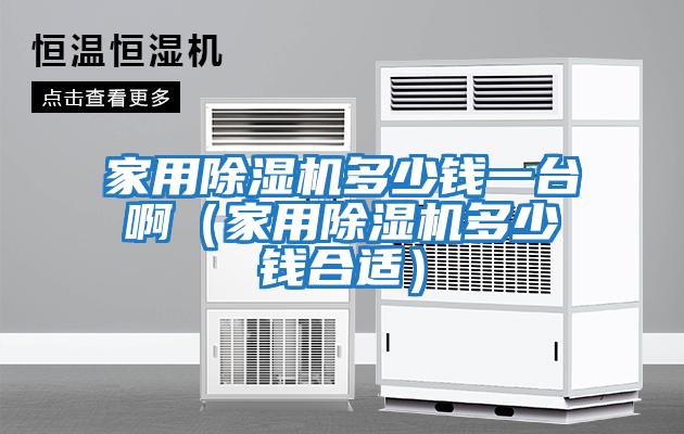 家用除濕機多少錢一臺啊（家用除濕機多少錢合適）