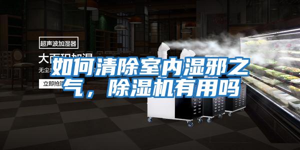如何清除室內濕邪之氣，除濕機有用嗎