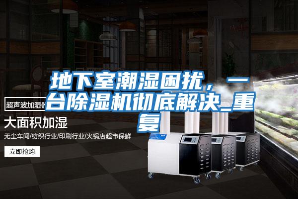 地下室潮濕困擾，一臺(tái)除濕機(jī)徹底解決_重復(fù)