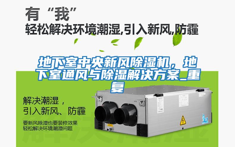地下室中央新風除濕機，地下室通風與除濕解決方案_重復