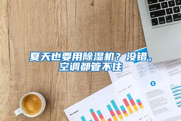夏天也要用除濕機(jī)？沒錯(cuò)，空調(diào)都管不住