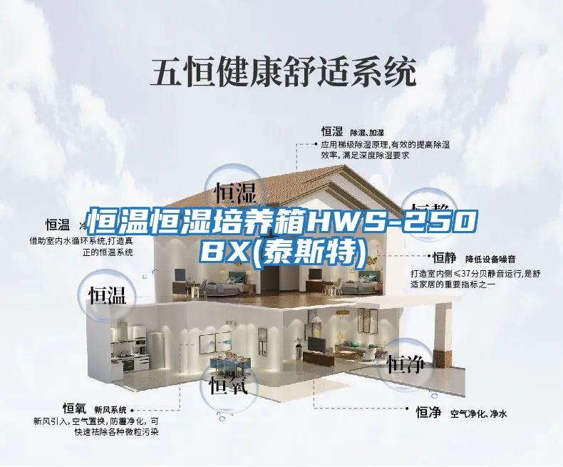 恒溫恒濕培養箱HWS-250BX(泰斯特)