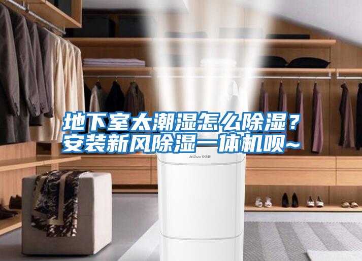 地下室太潮濕怎么除濕？安裝新風除濕一體機唄~