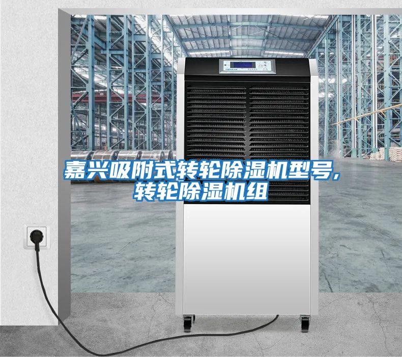 嘉興吸附式轉輪除濕機型號,轉輪除濕機組