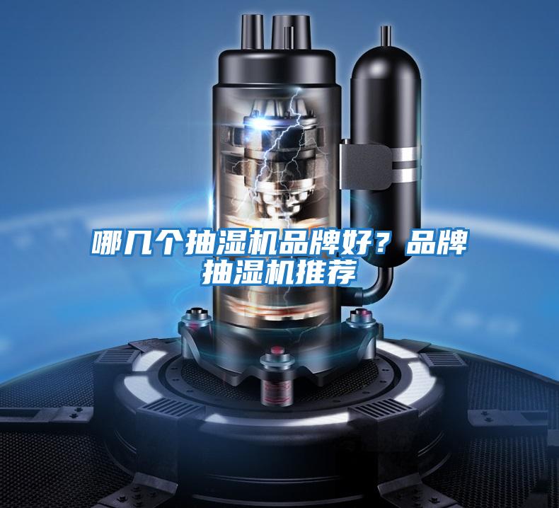 哪幾個抽濕機品牌好？品牌抽濕機推薦