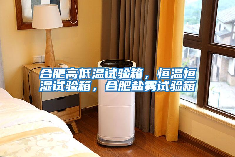 合肥高低溫試驗箱，恒溫恒濕試驗箱，合肥鹽霧試驗箱