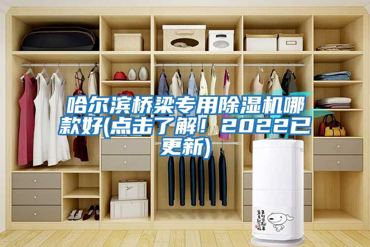 哈爾濱橋梁專用除濕機(jī)哪款好(點擊了解！2022已更新)