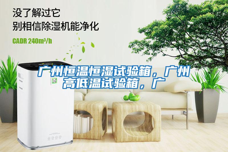 廣州恒溫恒濕試驗箱，廣州高低溫試驗箱，廣