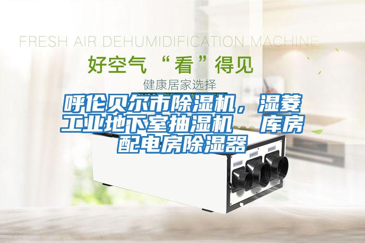 呼倫貝爾市除濕機，濕菱工業地下室抽濕機  庫房配電房除濕器