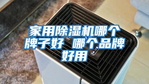 家用除濕機(jī)哪個(gè)牌子好 哪個(gè)品牌好用